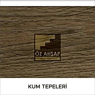 Kullandığımız Renkler